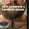 How to Repair a Damaged Beard: Split Ends, Breakage, and Dryness